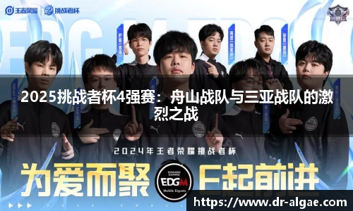 2025挑战者杯4强赛：舟山战队与三亚战队的激烈之战