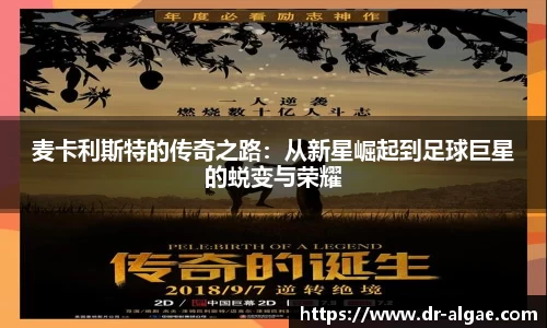 麦卡利斯特的传奇之路：从新星崛起到足球巨星的蜕变与荣耀