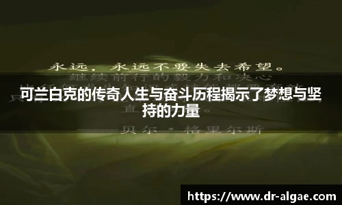 南宫28