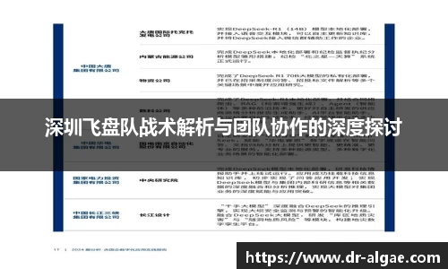 深圳飞盘队战术解析与团队协作的深度探讨